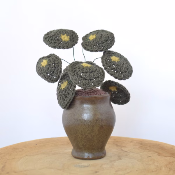 Haakpatroon pannenkoekenplant (Pilea Peperomioides)