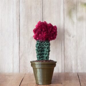 aardbeiencactus